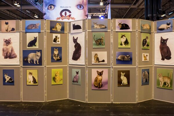 Экспозиция фотографий кошек на крупнейшей шоу-выставке кошек в Европе