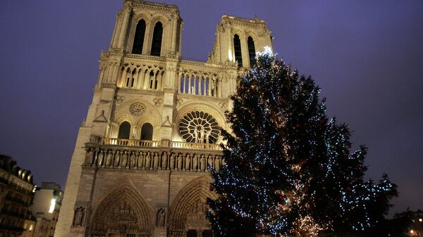 Рождественская елка перед собором Нотр-Дам в Париже. Архивное фото
