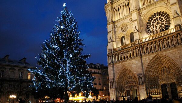 Рождественская ель перед собором Нотр-Дам в Париже. Архивное фото