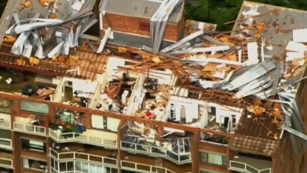 Мощный шторм сорвал крыши с домов и повалил деревья в Брисбене