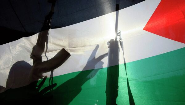 Флаг Палестины. Архивное фото
