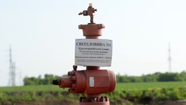 Скважина по добыче сланцевого газа в поселке Желанное Донецкой области. Архивное фото