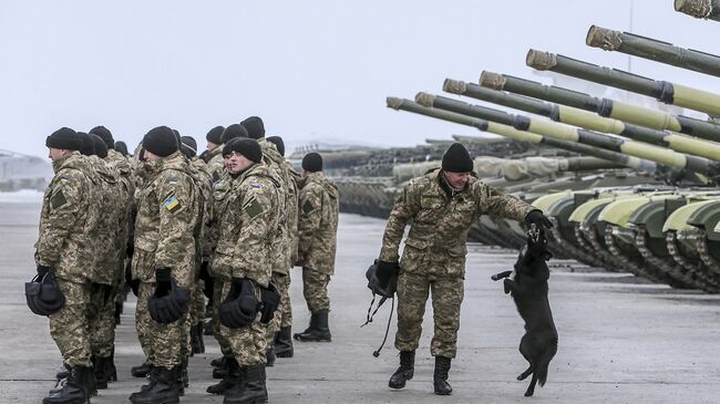 Военнослужащие украинской армии.Архивное фото.