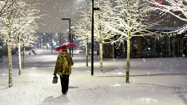 Женщина с зонтом идет по парку Музеон во время снегопада в Москве. Архивное фото