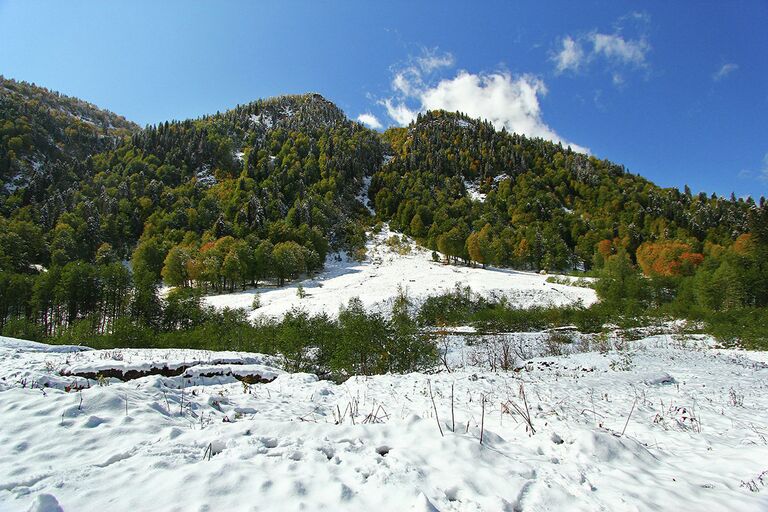 Проект Горная Абхазия. Времена года фотографа Тенгиза Тарбы