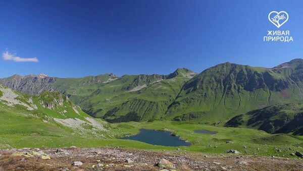 Жемчужина урочища Агура, или 12 озер горной Абхазии