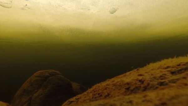 Подводный мир свозь толщу льда