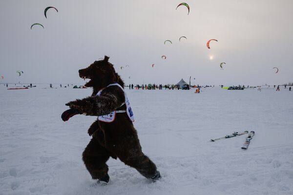 Спорстмен в костюме медведя во время соревнований на кубке Сибири по зимнему кайтингу на льду водохранилища Новосибирской ГЭС