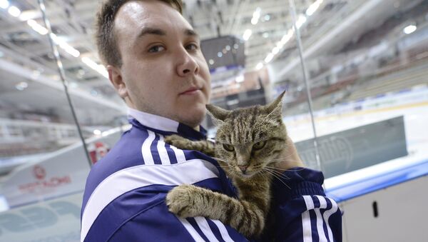 Новый талисман хоккейного клуба Адмирал кошка Матроскина
