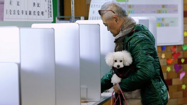 Выборы в нижнюю палату парламента в Японии
