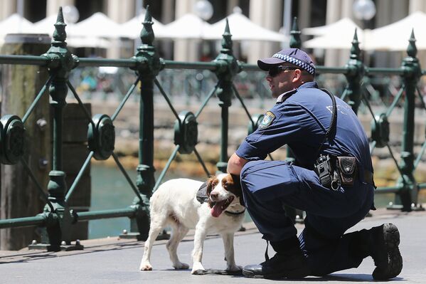 Полицейский патруль в связи с захватом заложников в одном из кафе в Сиднее