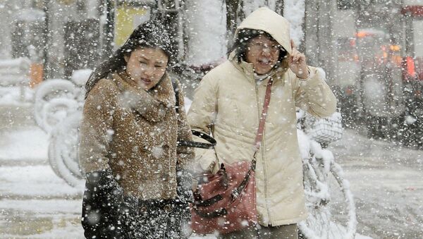Снегопад в Японии. Архивное фото