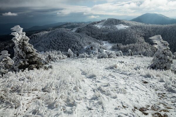 Вид на горы в Словении после ледяного шторма