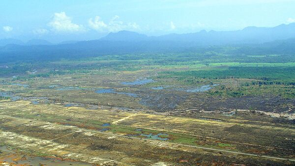 Последствия цунами 2004 года в Юго-Восточной Азии