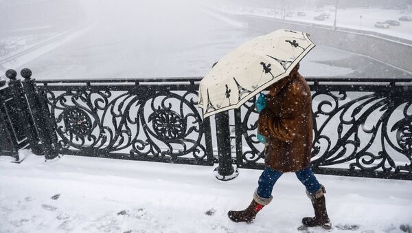 Прохожая на Патриаршем мосту в Москве во время снегопада