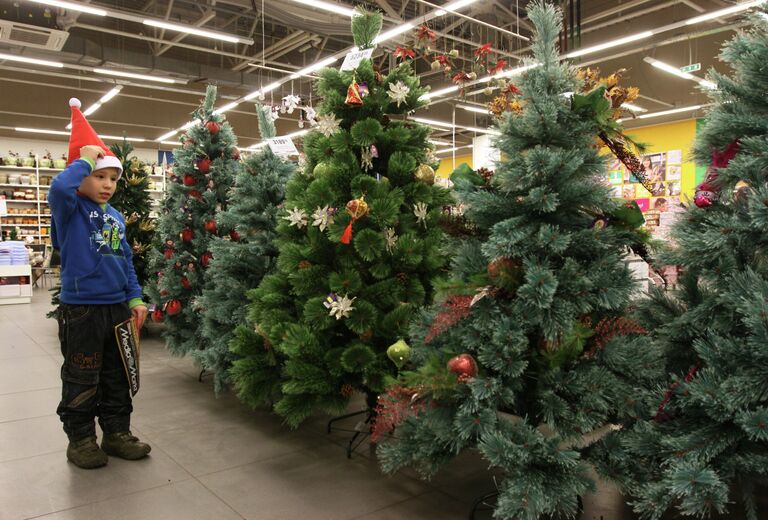 Мальчик в новогоднем колпачке осматривает искусственные новогодние елки Мальчик в новогоднем колпачке осматривает искусственные новогодние елки