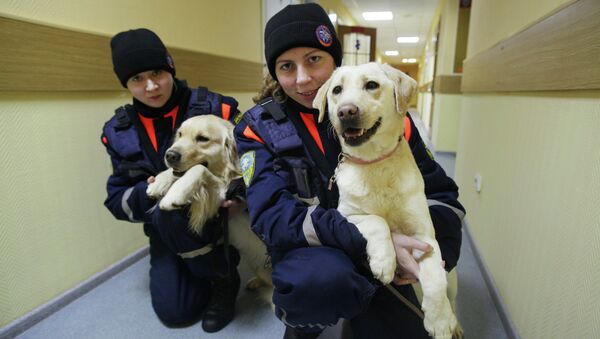 Проводники-вожатые Дарья Андронова и Екатерина Белоусова с собаками Брендоном и Никой