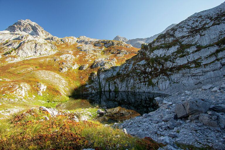 Проект Горная Абхазия. Времена года фотографа Тенгиза Тарбы