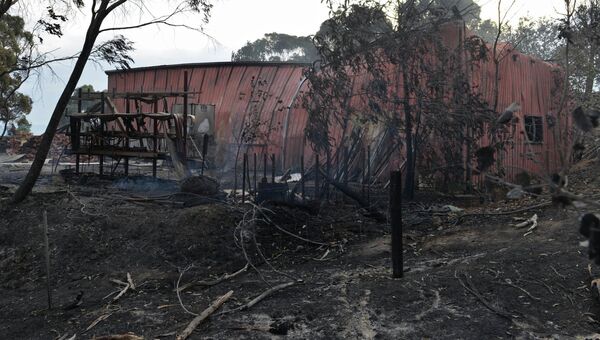 Последствия лесных пожаров в Австралии. Архивное фото