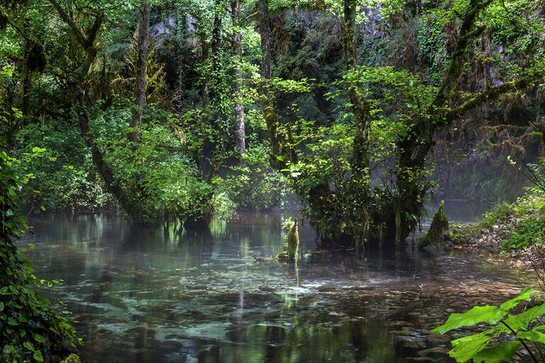 Проект Горная Абхазия. Времена года фотографа Тенгиза Тарбы