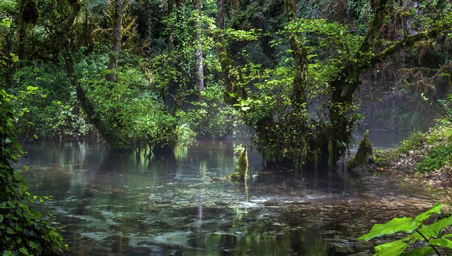 Проект Горная Абхазия. Времена года фотографа Тенгиза Тарбы