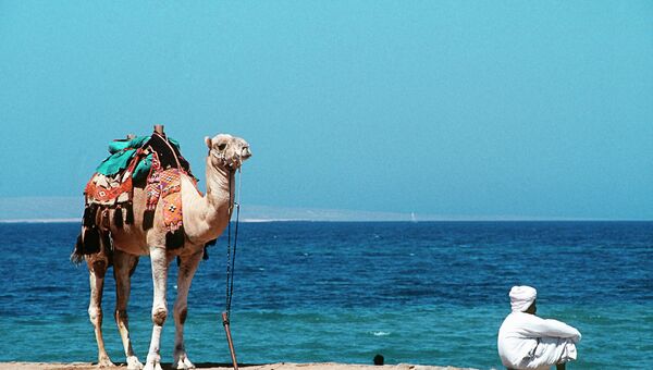На берегу Красного моря в Египте