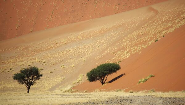 Страны мира. Намибия. Архивное фото