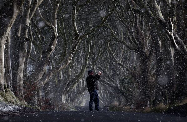 Снегопад в месте Дарк Хеджес, графство Антрим, Северная Ирландия