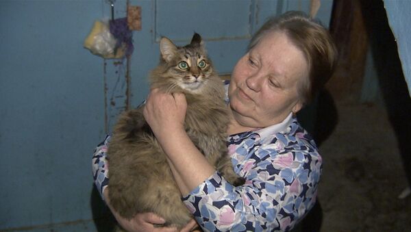 Кошка-героиня из Обнинска, или Кто спас брошенного в подъезде младенца