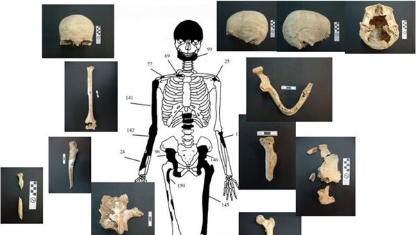 Останки, обнаруженные учеными в древнем захоронении в Амфиполе