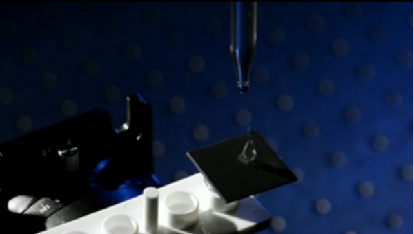 Кадр из видеоролика, в рамках которого ученые рассказывают о работе металлического лотоса