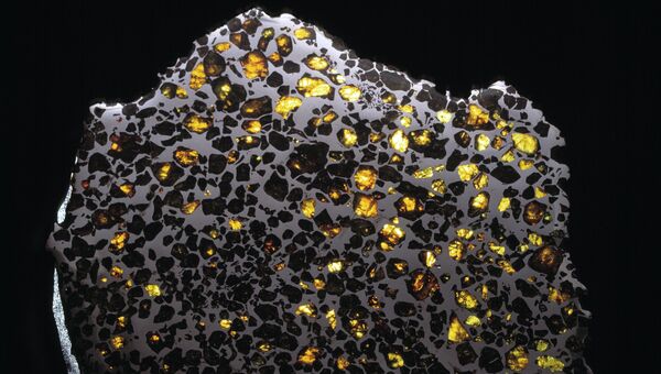 Срез метеорита-палласита, использованный авторами статьи в качестве природного жесткого диска