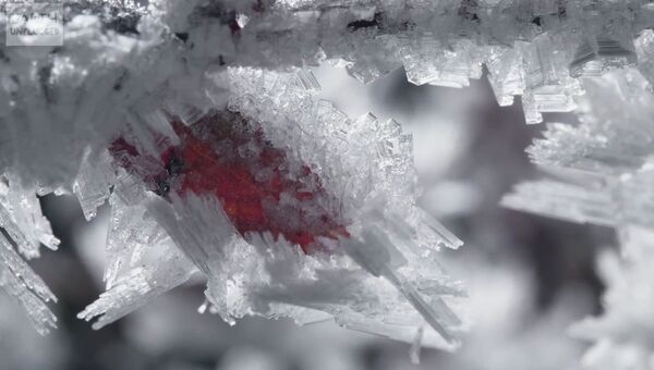 Творчество природы: так создаются шедевры изо льда