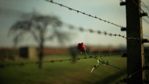 Роза на колючей проволоке в концентрационном лагере Освенцим. Архивное фото