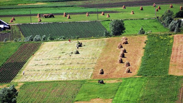 Сельскохозяйственные работы в Молдавии