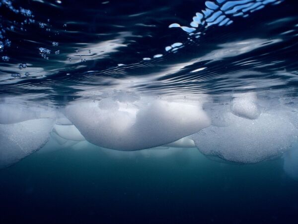 Подводные ледяные образования в Антарктиде