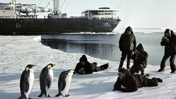 Моряки ледокола Обь фотографируют пингвинов в Антарктиде