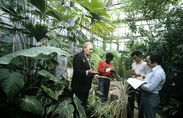 Занятие с аспирантами в главном Ботаническом саду АН СССР проводит профессор Г.В. Устименко-Бакумовский