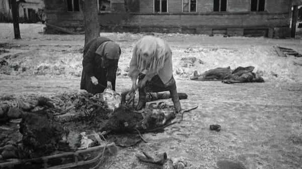 Блокадный Ленинград. Женщины собирают останки убитой лошади и грузят на сани, чтобы потом использовать мясо в пищу
