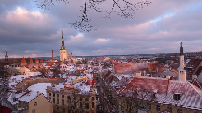 Таллин. Вид на Нижний город со смотровой площадки