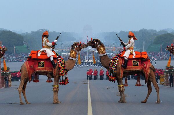 Индийские солдаты на верблюдах во время репетиции парада ко Дню республики