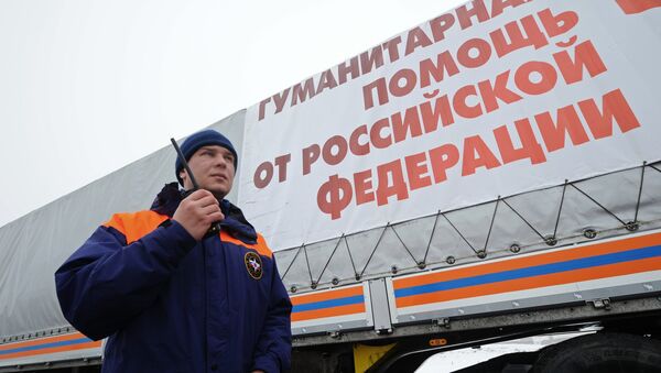 Сотрудник МЧС России у грузового автомобиля двенадцатого гуманитарного конвоя для Донбасса