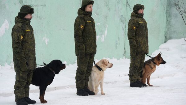 Курсанты со служебными собаками на занятиях по подготовке военных кинологов. Архивное фото