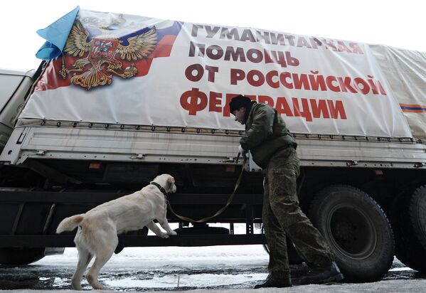 Украинский пограничник досматривает грузовой автомобиль двенадцатой колонны МЧС России с гуманитарной помощью для Донбасса