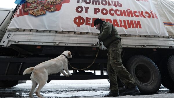 Украинский пограничник досматривает грузовой автомобиль двенадцатой колонны МЧС России с гуманитарной помощью для Донбасса