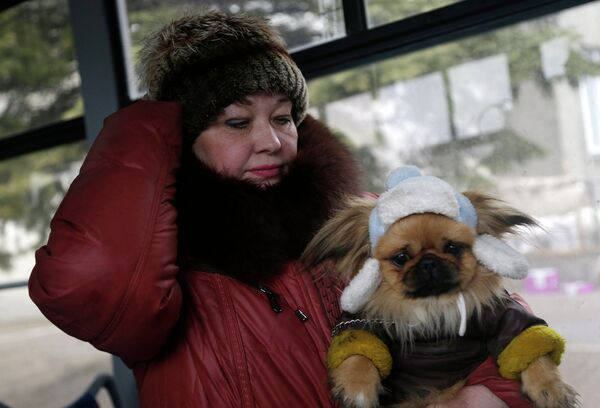 Женщина с собакой в автобусе перед отъездом из Дебальцево