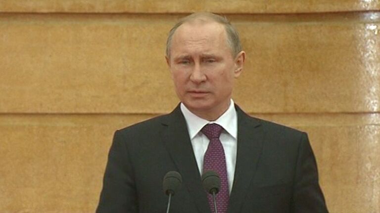 Путин назвал отрасль, которую Россия готова создать в Египте Путин назвал отрасль, которую Россия готова создать в Египте