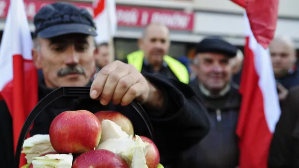 Фермеры и садоводы Польши на акции протеста в Варшаве. Архивное фото