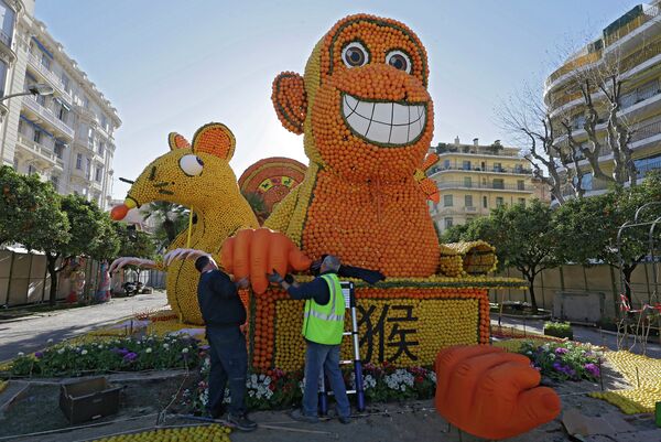 Фигура обезьяны из лимонов и апельсинов на фестивале лимонов в городе Ментон во Франции
