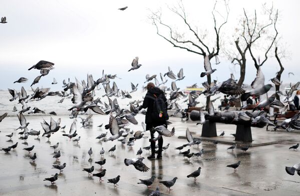 Женщина кормит голубей в Стамбуле